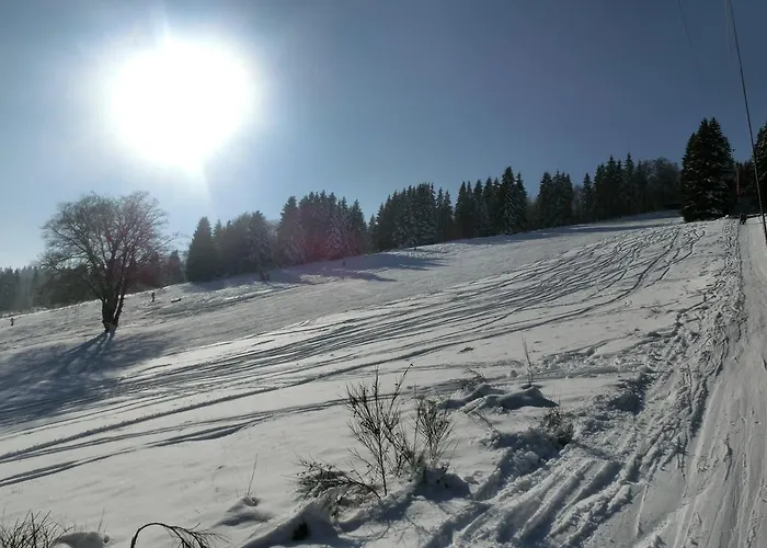 Kleines Glück In Winterberg-niedersfeld Winterberg